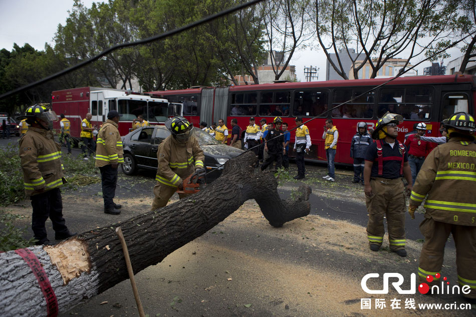 　當(dāng)?shù)貢r(shí)間2014年5月8日，墨西哥墨西哥城，消防人員正在切割一棵倒下的樹。　