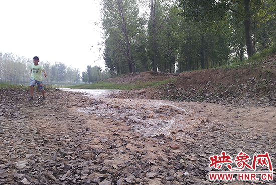 18日丹江水沿澎河流向白龜山水庫(kù)，孩子歡騰起來(lái)，跟著水頭奔跑。