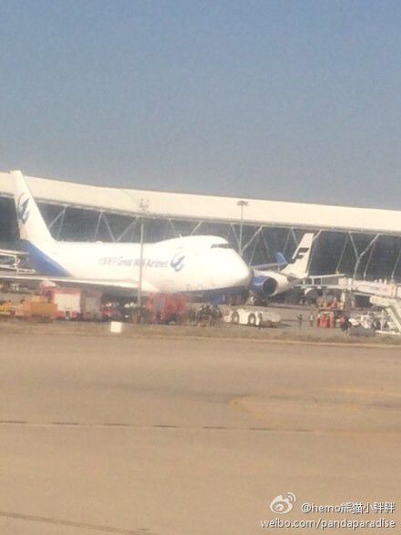 圖說：發(fā)生事故的飛機(jī)。圖片來源：新浪微博網(wǎng)友圖（請私信“新民晚報(bào)新民網(wǎng)”以奉稿酬）