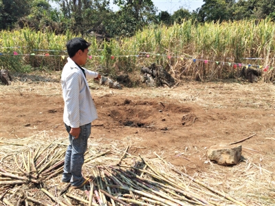 昨日，在大水桑樹村，村民向記者展示13日造成5死8傷的炸彈事件彈坑。