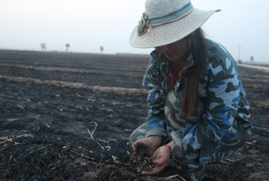 村民們眼巴巴看著豐收的小麥“葬身”火海，心疼不已。