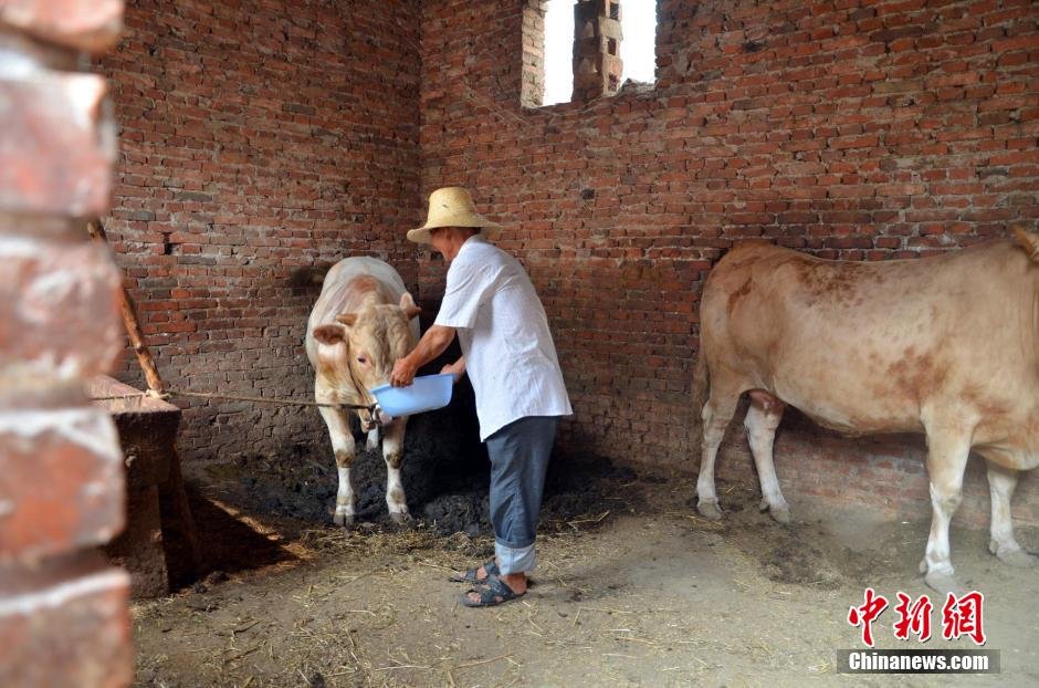 同時，地下水位的持續(xù)下降以及部分山泉水的干涸，已造成全縣2.85萬人和2000頭大牲畜出現(xiàn)飲水困難。