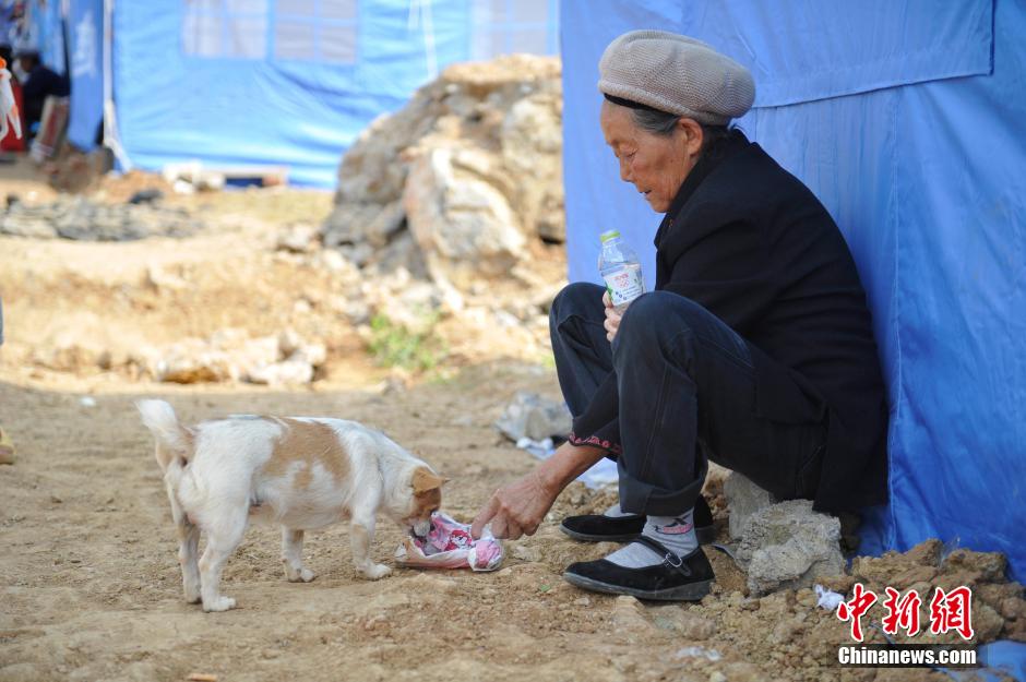 8月6日，一名老人將剛領(lǐng)到的礦泉水分給小狗。