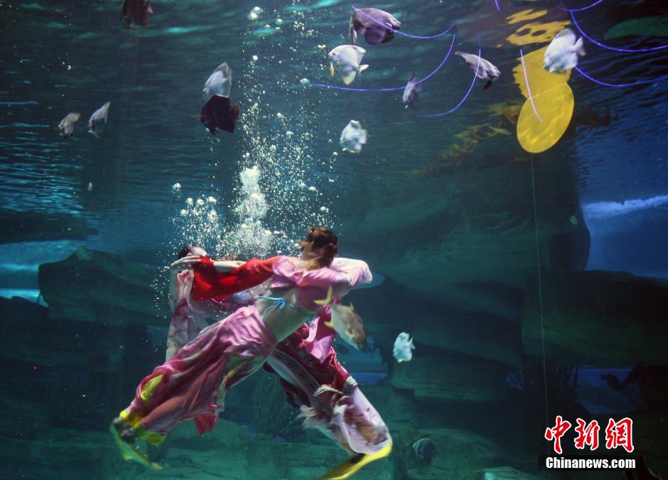 9月7日，在中秋節(jié)到來前一天，山東泉城海洋極地世界為游客帶來“嫦娥水中奔月”表演。