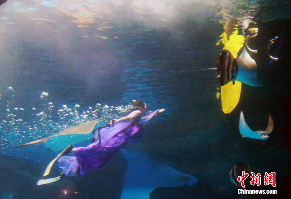 9月7日，在中秋節(jié)到來前一天，山東泉城海洋極地世界為游客帶來“嫦娥水中奔月”表演。