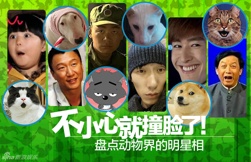 不小心就撞臉了！盤點動物界的明星相