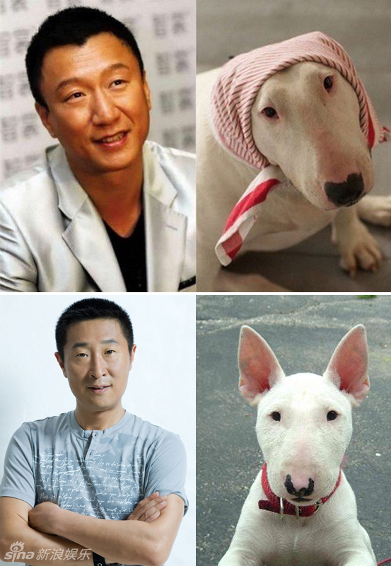 不小心就撞臉了！盤點動物界的明星相