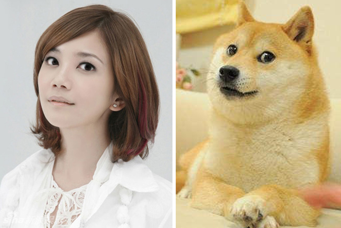 不小心就撞臉了！盤點動物界的明星相