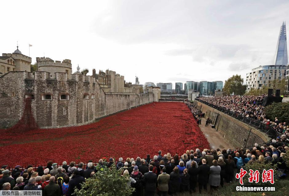 當(dāng)?shù)貢r間2014年11月10日，英國倫敦，倫敦塔周邊“種植”了888246朵陶瓷材質(zhì)的罌粟花，以此紀(jì)