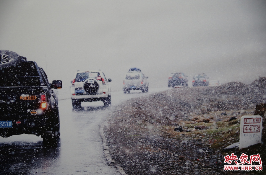 賽車的世界、更是男人的世界。圖為部分參展攝影作品。