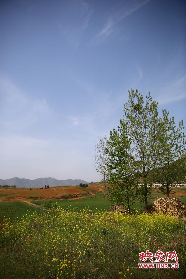 庫(kù)區(qū)的藍(lán)天、白云、綠樹(shù)、黃花給人清新的享受