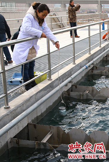 工作人員提取水樣 工作人員提取水樣