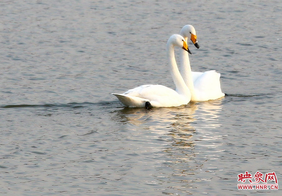 快來(lái)給我們拍一個(gè)合影 快來(lái)給我們拍一個(gè)合影