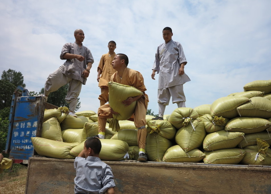 武僧將打包后的糧食集中至運(yùn)輸車輛上。