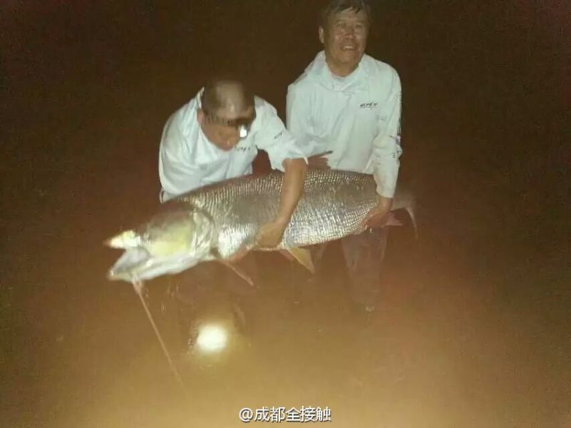圖為大魚(yú)需要兩個(gè)人抱起。