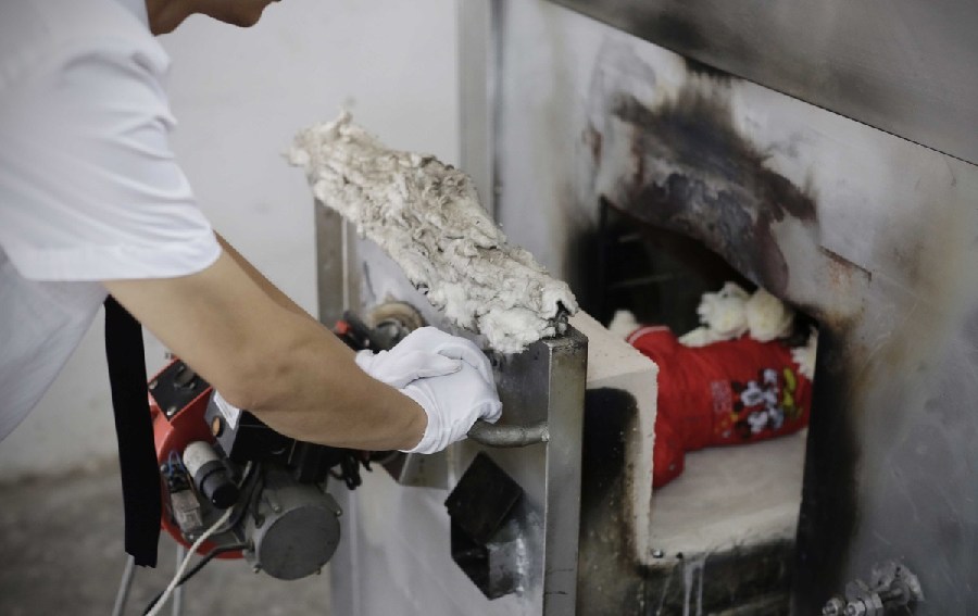 工作人員將狗狗推入火化爐。