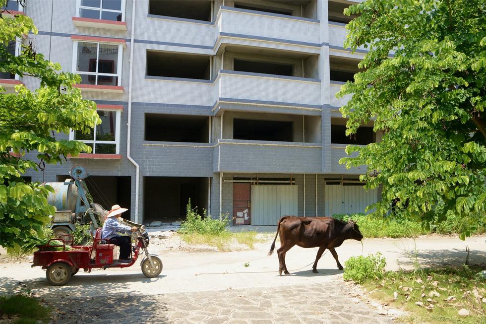 2016年7月26日，村民在廣西來賓市忻城縣隆達(dá)山水福城荒廢別墅間放牛。