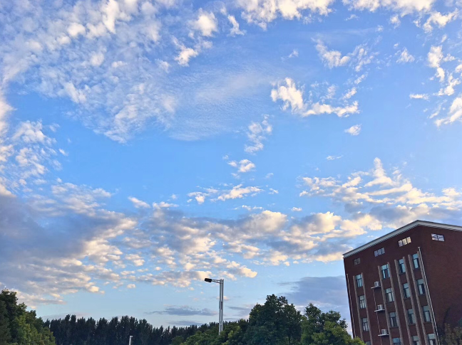 又被鄭州的藍(lán)天刷屏！隨便一拍就是手機(jī)壁紙