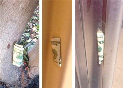 “隱藏的鈔票”會被神秘人藏在公園、廁所等“奇怪的地方”。