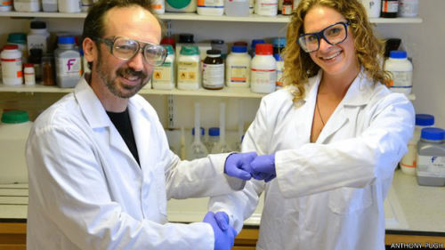 英國(guó)科學(xué)家呼吁用碰拳取代握手 減少病菌傳播 英國(guó)科學(xué)家呼吁用碰拳取代握手 減少病菌傳播