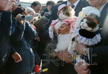 圖為粉絲們簇?fù)碇鞍⒂瘛闭鹃L（右）。左側(cè)為其部下“二玉”。