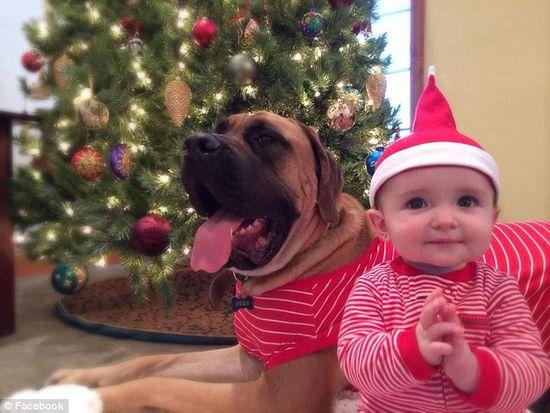 圖為美國(guó)2歲大的寵物犬與主人9個(gè)月大的女嬰。圖片來源：臉譜網(wǎng)站（Facebook）。