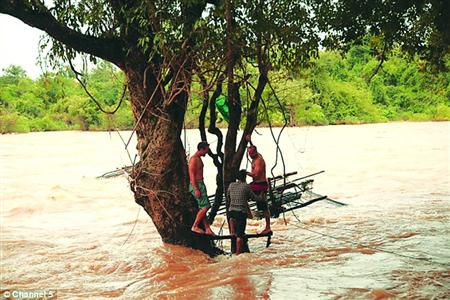 蓋屋、種菜，“從沒這樣快樂”