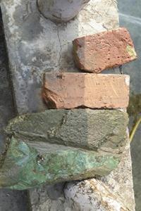 青海動物園內動物遭“騷擾” 游客磚頭打河馬