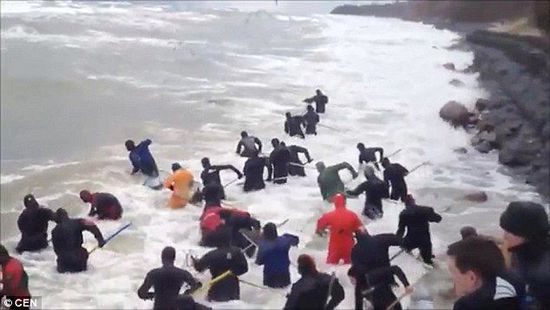 一場(chǎng)暴雨后，俄羅斯加里寧格勒Pionersky鎮(zhèn)，數(shù)十人潛入海水中搜尋琥珀。