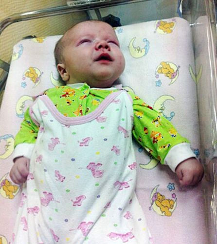 居民認為，如果沒有這只貓的照料，寶寶可能沒有機會活下來。