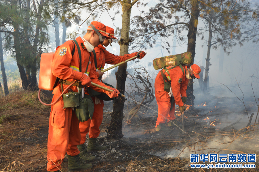 云南呈貢發(fā)生森林火情 950多人全力撲救