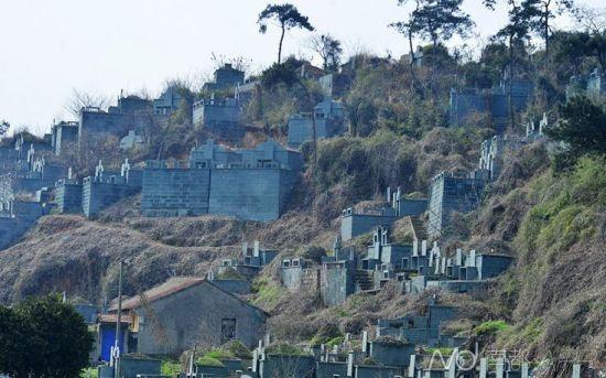 浙江紹興墓群為復(fù)綠遭刷綠漆 當(dāng)?shù)胤Q因難種樹(shù)(圖)