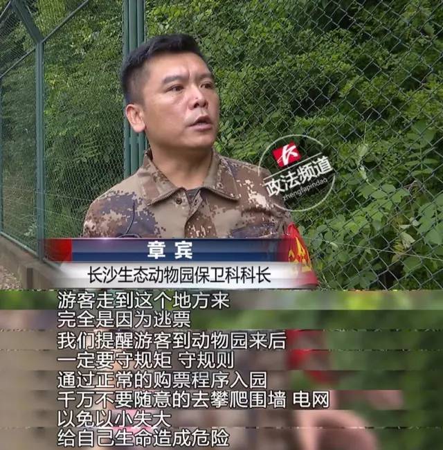 2女1男為逃票翻墻進(jìn)動物園 落地時周圍站了7只虎