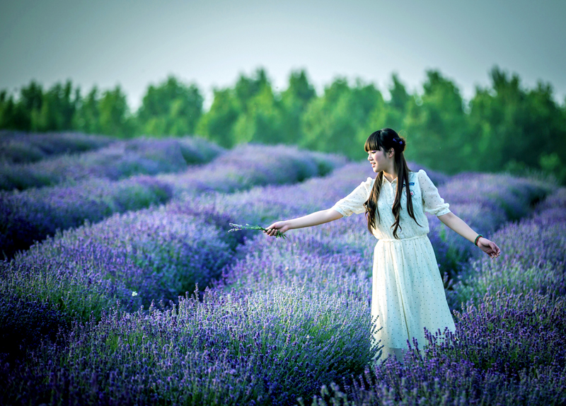 端午去哪兒?嵖岈山與您有個(gè)約會 端午去哪兒?嵖岈山與您有個(gè)約會