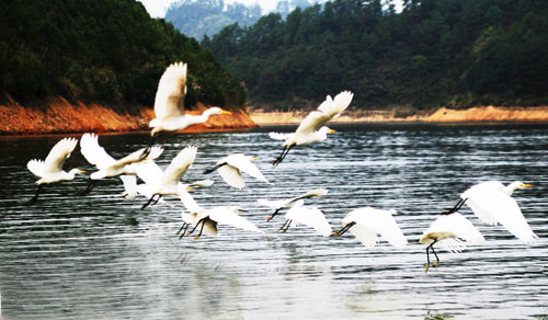 考完去哪兒？千島湖中、高考生門(mén)票大優(yōu)惠！