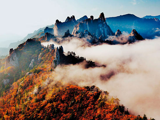 秋天的色彩之旅 尋找視覺(jué)上的饕餮盛宴