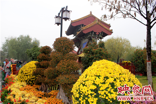 天好、花美 中國開封第32屆菊花文化節(jié)延長(zhǎng)一周