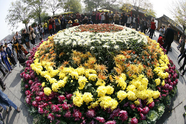 中國(guó)(開(kāi)封)第32屆菊花文化節(jié)圓滿落下帷幕