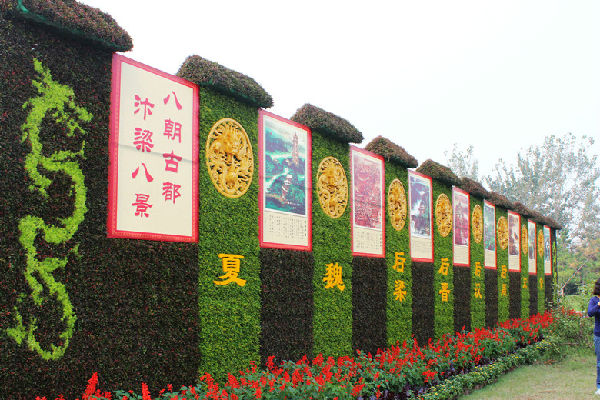 中國(guó)(開(kāi)封)第32屆菊花文化節(jié)圓滿落下帷幕