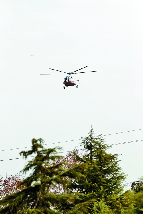 輕拋一點(diǎn)入云去，利眼“鐵鷹”掠地來
