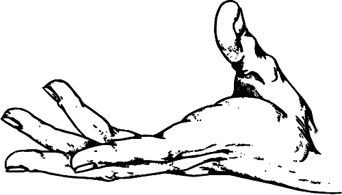 時(shí)間:拿到通知書,未報(bào)到就可申請(qǐng) 時(shí)間:拿到通知書,未報(bào)到就可申請(qǐng)