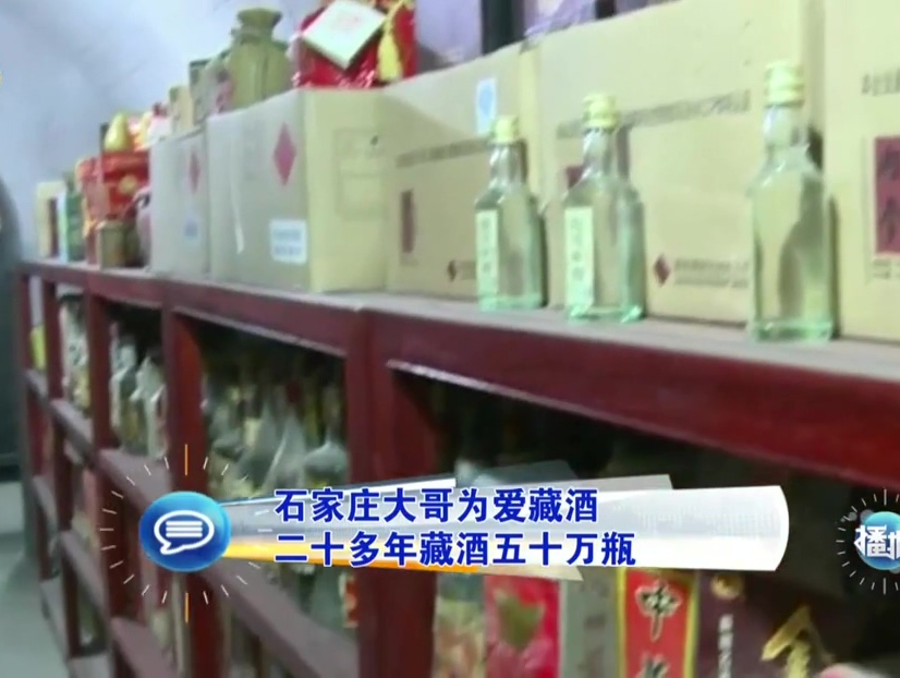 石家莊大哥為愛藏酒 二十多年藏酒五十萬(wàn)瓶