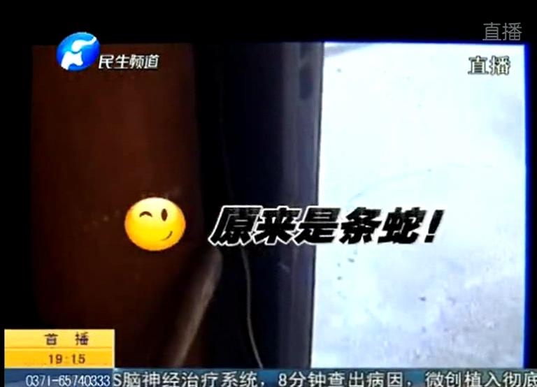 兩米長(zhǎng)蛇賴進(jìn)居民家