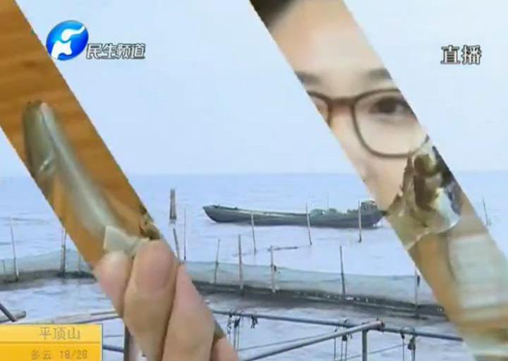 陽澄湖大閘蟹？假的！