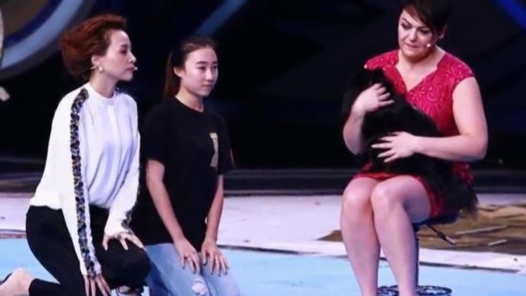 又當托？ 董卿節(jié)目現(xiàn)場當眾對狗下跪稱被催眠