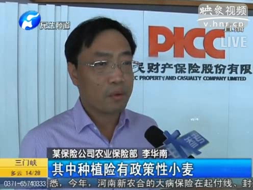 冰雹惹禍 損失能索賠嗎？