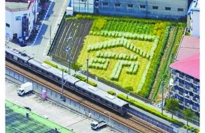 日本2005年列車事故現(xiàn)場附近的一塊農(nóng)田里勾勒出一個“命”字，以警世人。
