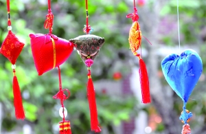 端午意在健康愛護 端午意在健康愛護