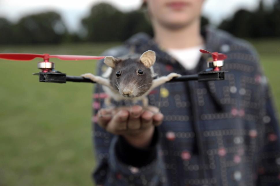 主人為紀念逝世愛寵將其制成特殊直升機(高清組圖) 主人為紀念逝世愛寵將其制成特殊直升機(高清組圖)