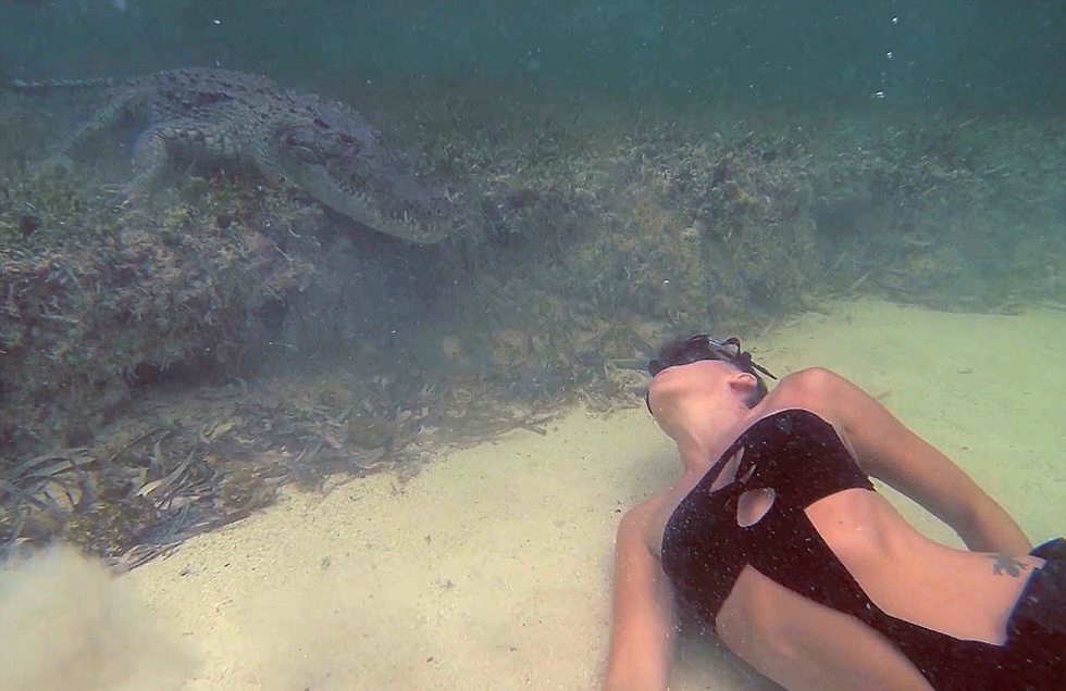 意大利美女模特與鱷魚(yú)水下同游 經(jīng)歷“死亡對(duì)視”